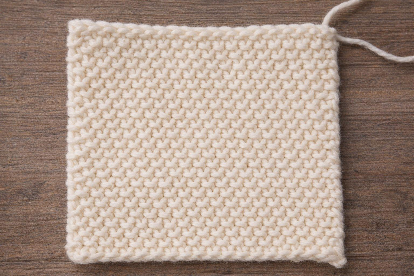 Bumpy Dishcloth Pattern